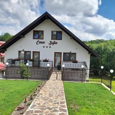 Apartament Casa Sofia Baltatesti Zewnętrze zdjęcie