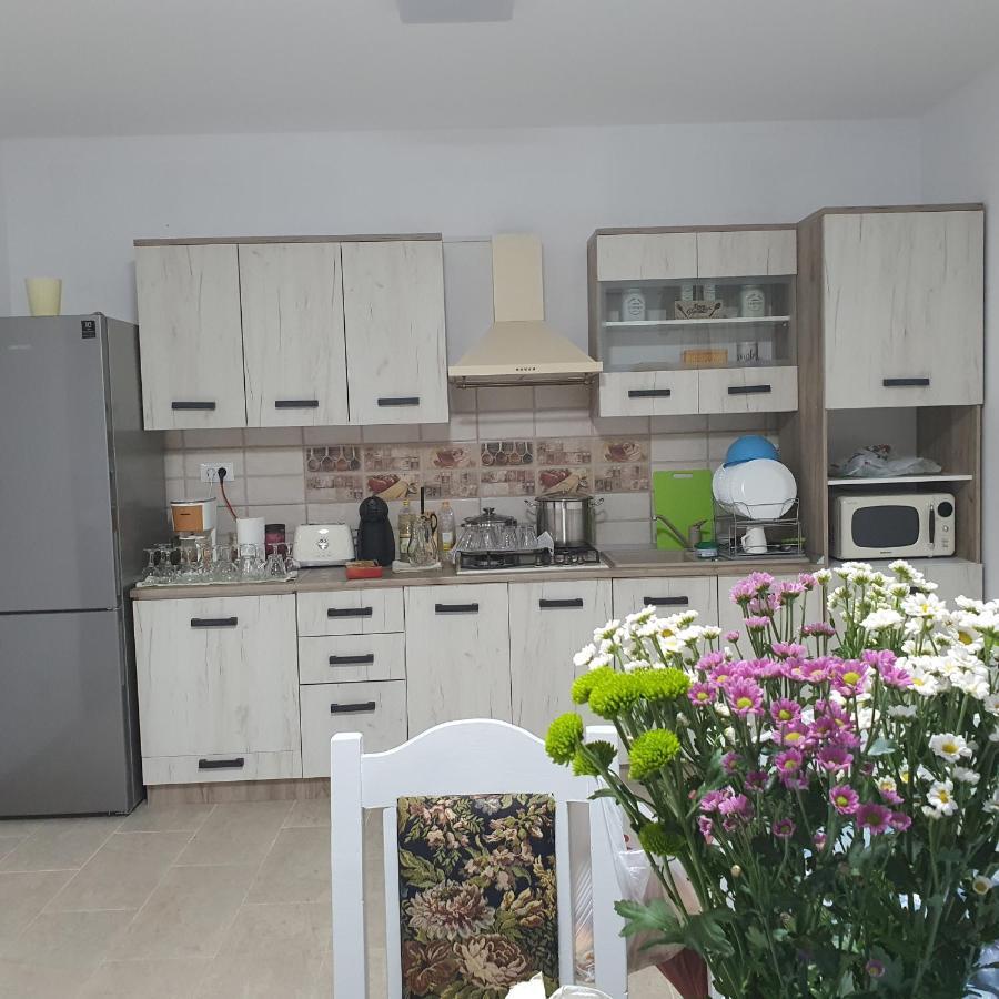 Apartament Casa Sofia Baltatesti Zewnętrze zdjęcie
