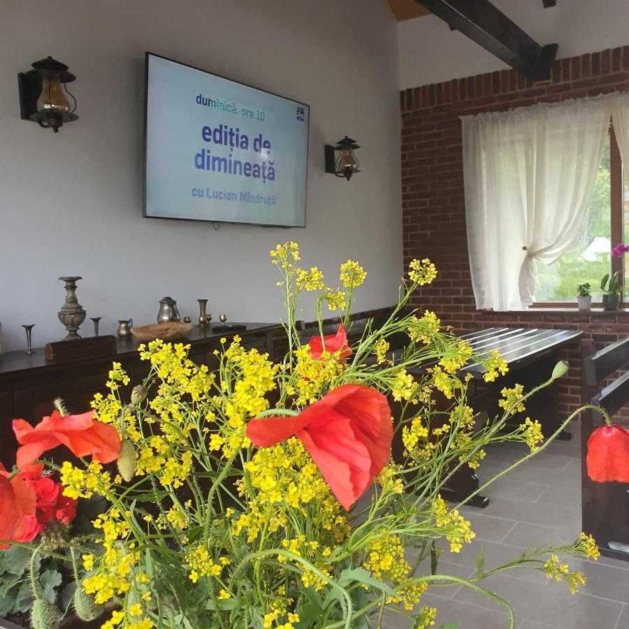 Apartament Casa Sofia Baltatesti Zewnętrze zdjęcie