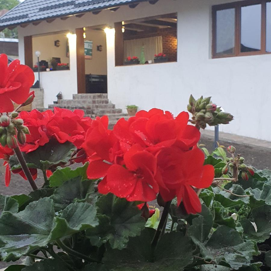 Apartament Casa Sofia Baltatesti Zewnętrze zdjęcie
