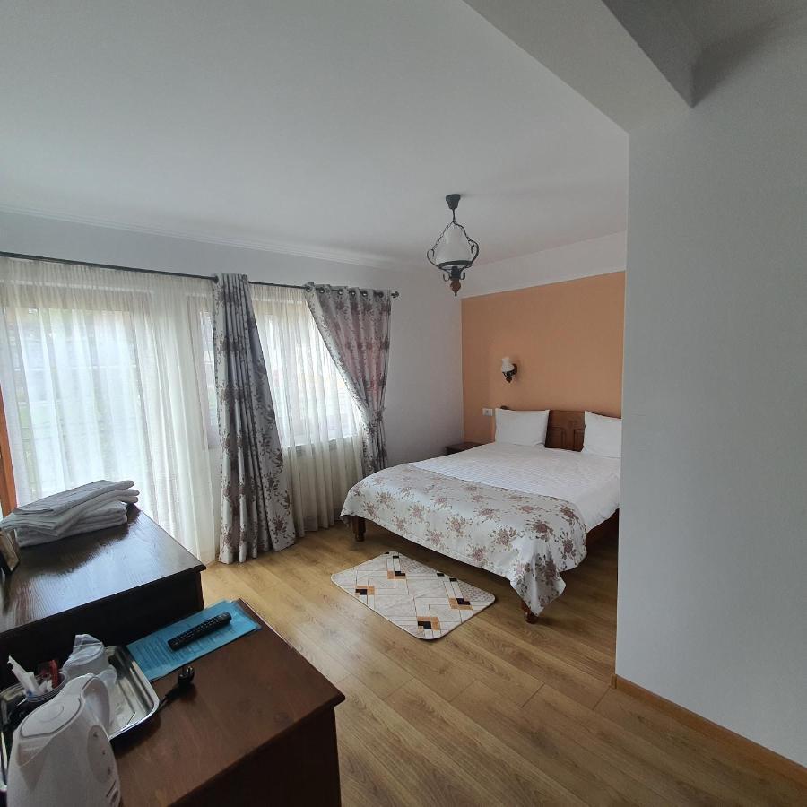 Apartament Casa Sofia Baltatesti Zewnętrze zdjęcie