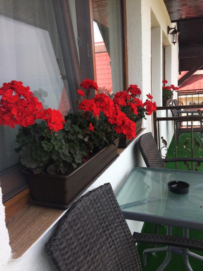 Apartament Casa Sofia Baltatesti Zewnętrze zdjęcie