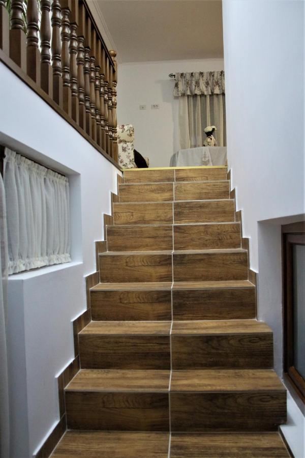 Apartament Casa Sofia Baltatesti Zewnętrze zdjęcie